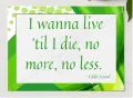 Eddie Izzard On Life Quotation presented in a sleek wooden frame, elegantly arranged on a stylish table.