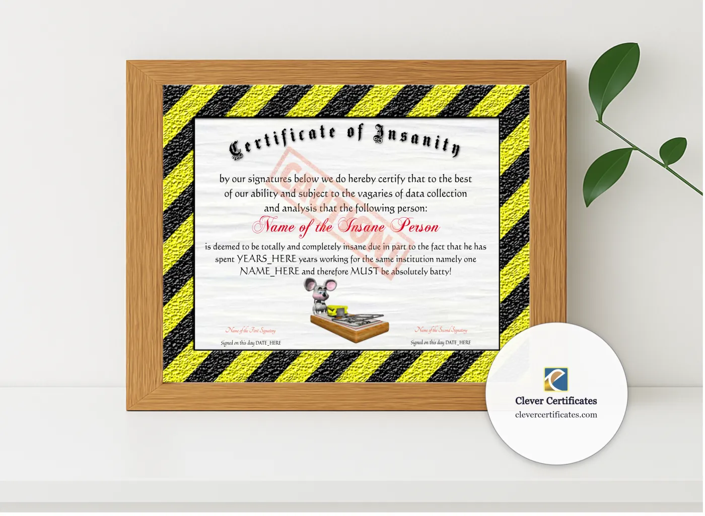Realistic mockup featuring Certificate Of Insanity displayed within a modern frame, set against a minimalistic background.