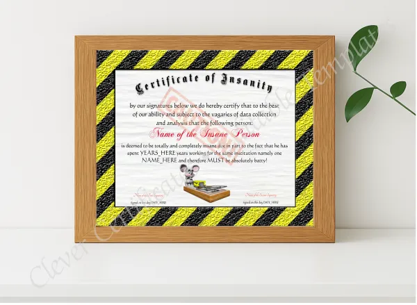 Realistic mockup featuring Certificate Of Insanity displayed within a modern frame, set against a minimalistic background.