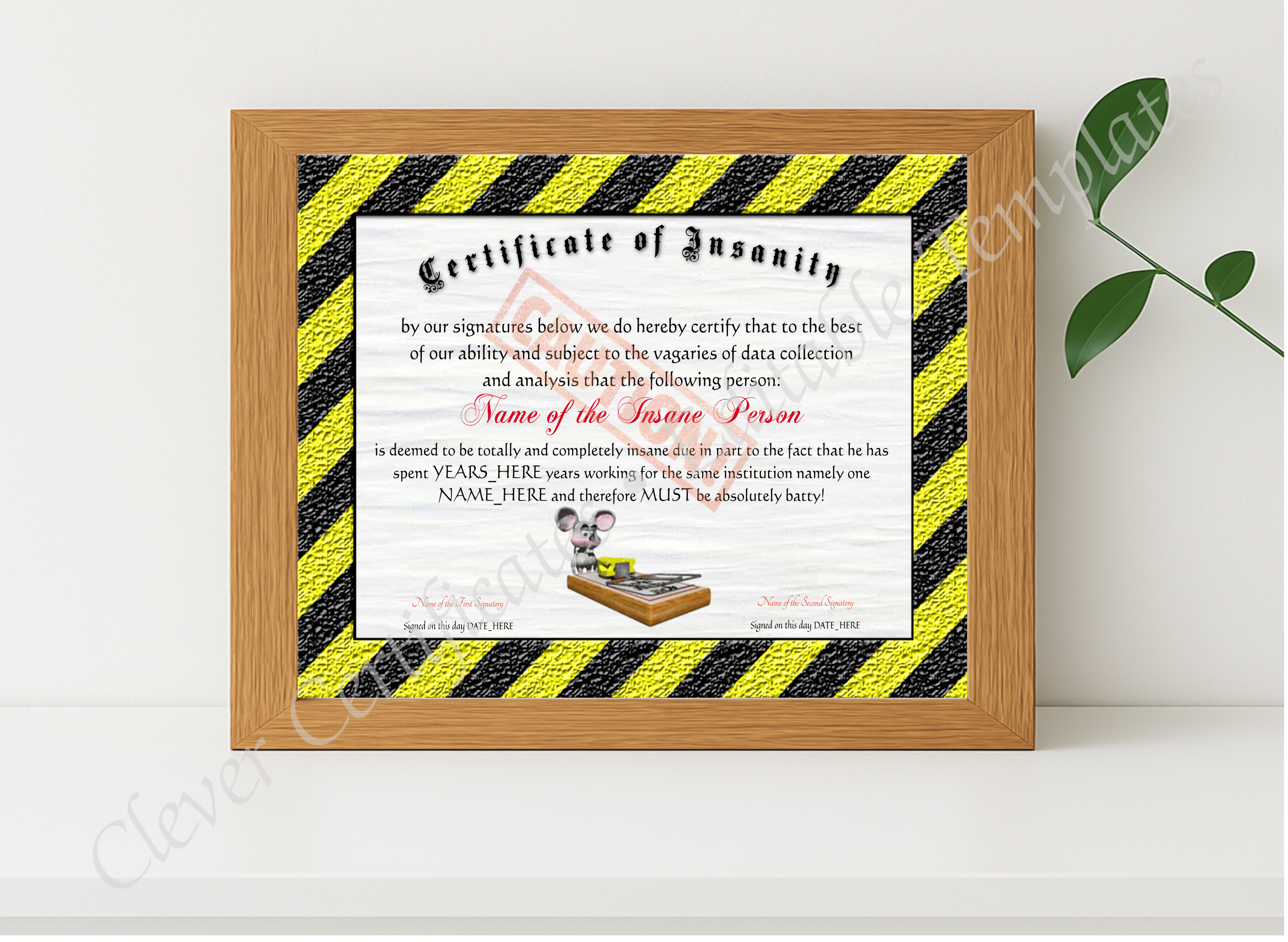Realistic mockup featuring Certificate Of Insanity displayed within a modern frame, set against a minimalistic background.