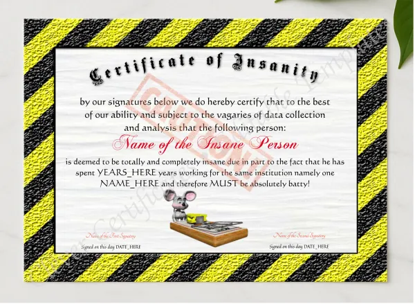 Certificate Of Insanity presented in a sleek wooden frame, elegantly arranged on a stylish table.