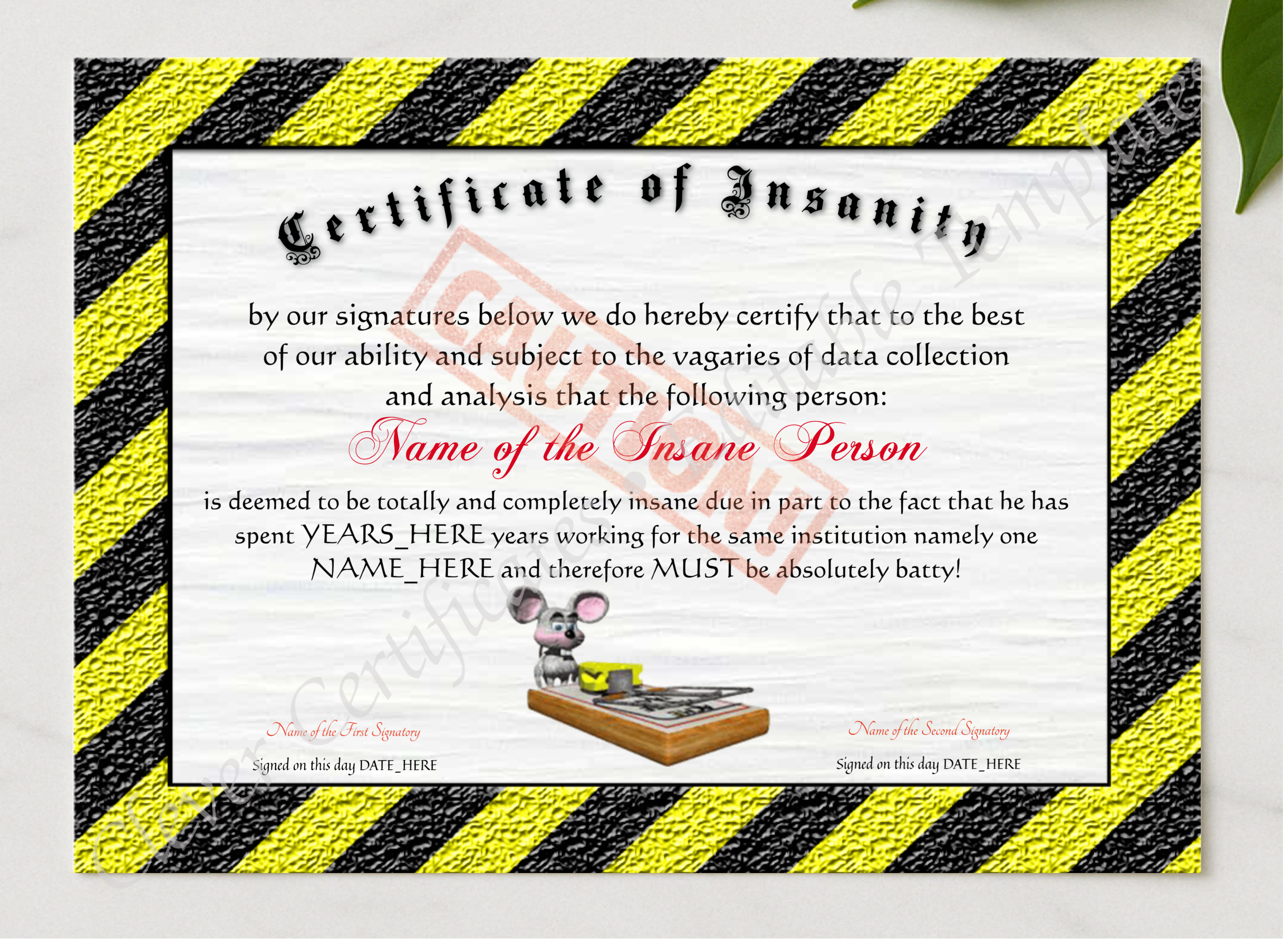 Certificate Of Insanity presented in a sleek wooden frame, elegantly arranged on a stylish table.