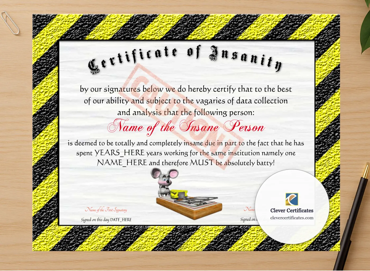 Professional preview of Certificate Of Insanity certificate on high-quality stationery paper, ideal for showcasing the final look.