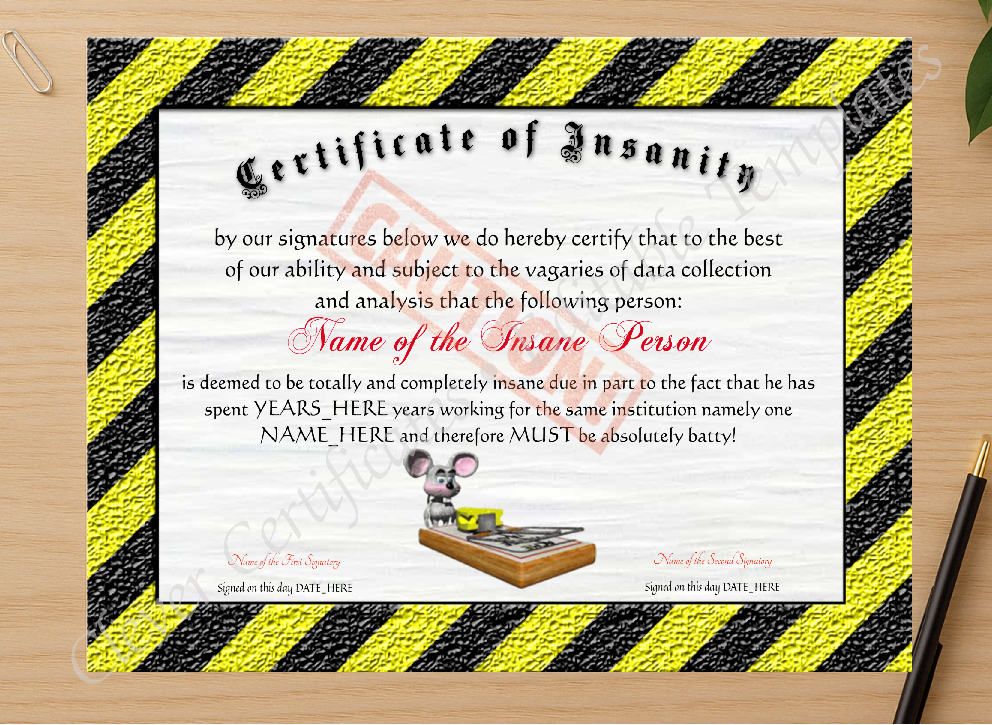 Professional preview of Certificate Of Insanity certificate on high-quality stationery paper, ideal for showcasing the final look.