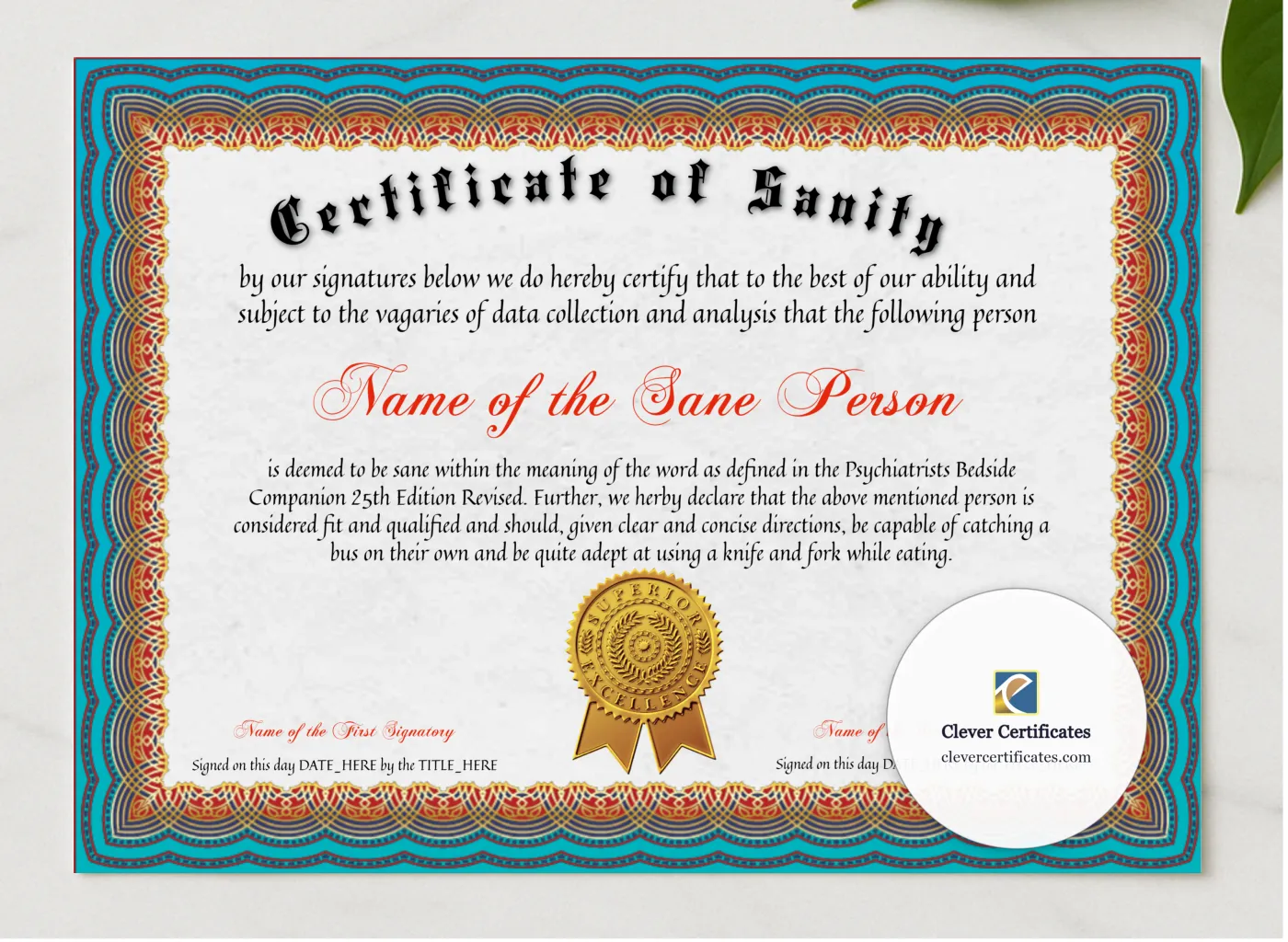 Certificate Of Sanity presented in a sleek wooden frame, elegantly arranged on a stylish table.