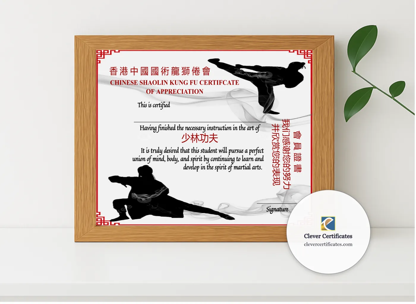 Realistic mockup featuring Chinese Shaolin Certificate Of Appreciation displayed within a modern frame, set against a minimalistic background.