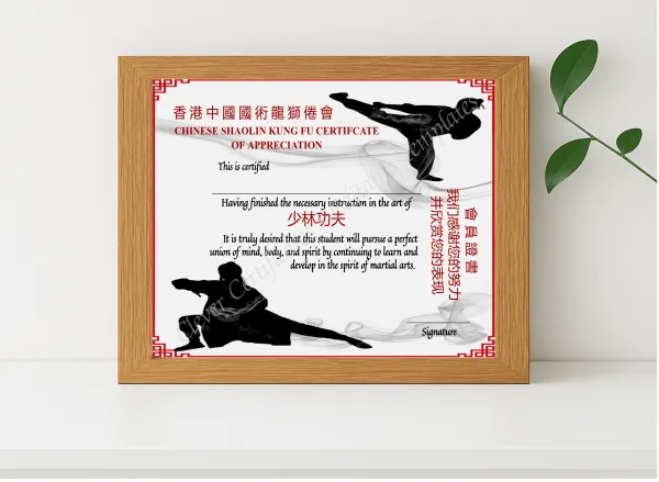 Realistic mockup featuring Chinese Shaolin Certificate Of Appreciation displayed within a modern frame, set against a minimalistic background.