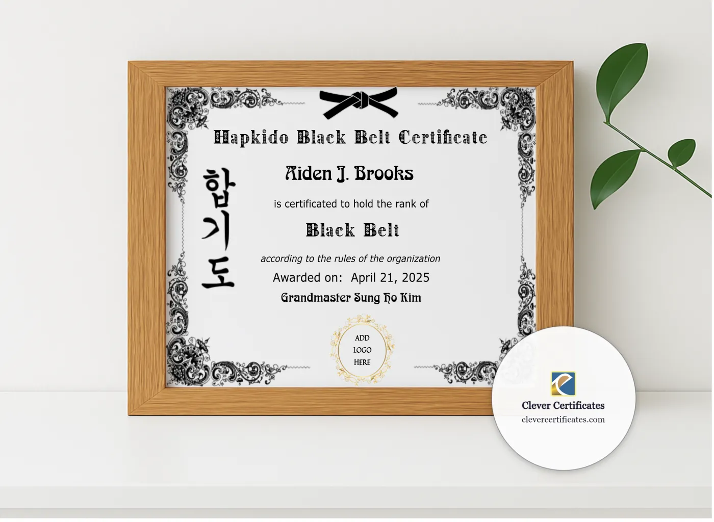 Realistic mockup featuring Hapkido Black Belt Certificate displayed within a modern frame, set against a minimalistic background.