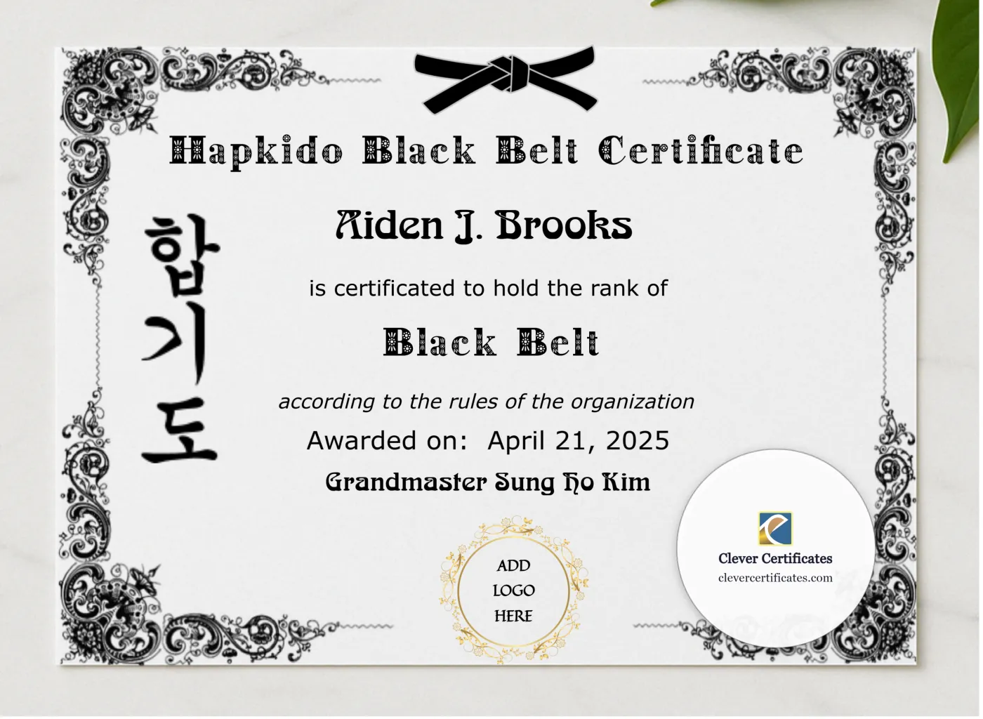 Hapkido Black Belt Certificate presented in a sleek wooden frame, elegantly arranged on a stylish table.