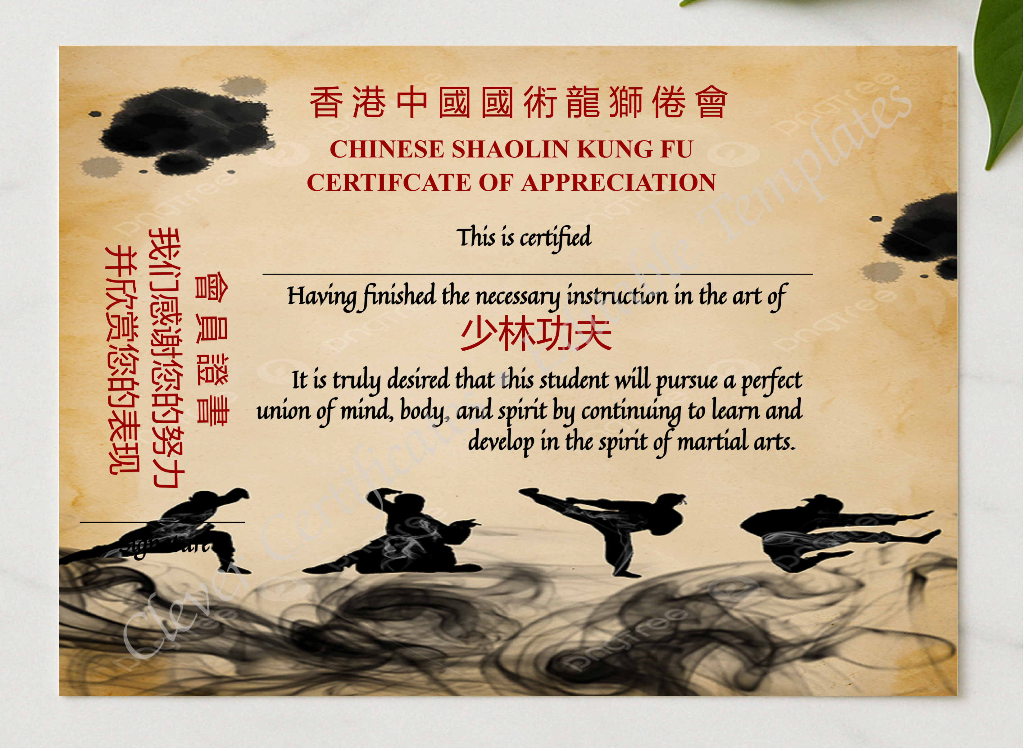Professional Elegant Chinese Shaolin Certificate Of Appreciation presented in a sleek wooden frame, elegantly arranged on a stylish table.