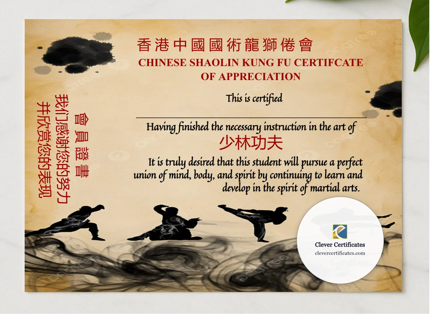 Modern Chinese Shaolin Certificate Of Appreciation Template presented in a sleek wooden frame, elegantly arranged on a stylish table.