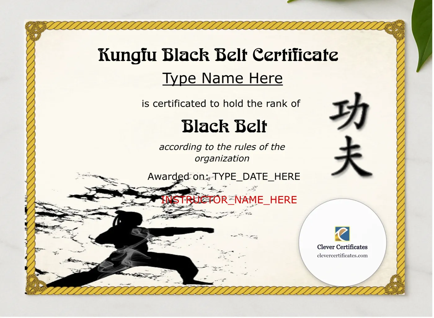 Professional Kungfu Black Belt Certificate presented in a sleek wooden frame, elegantly arranged on a stylish table.