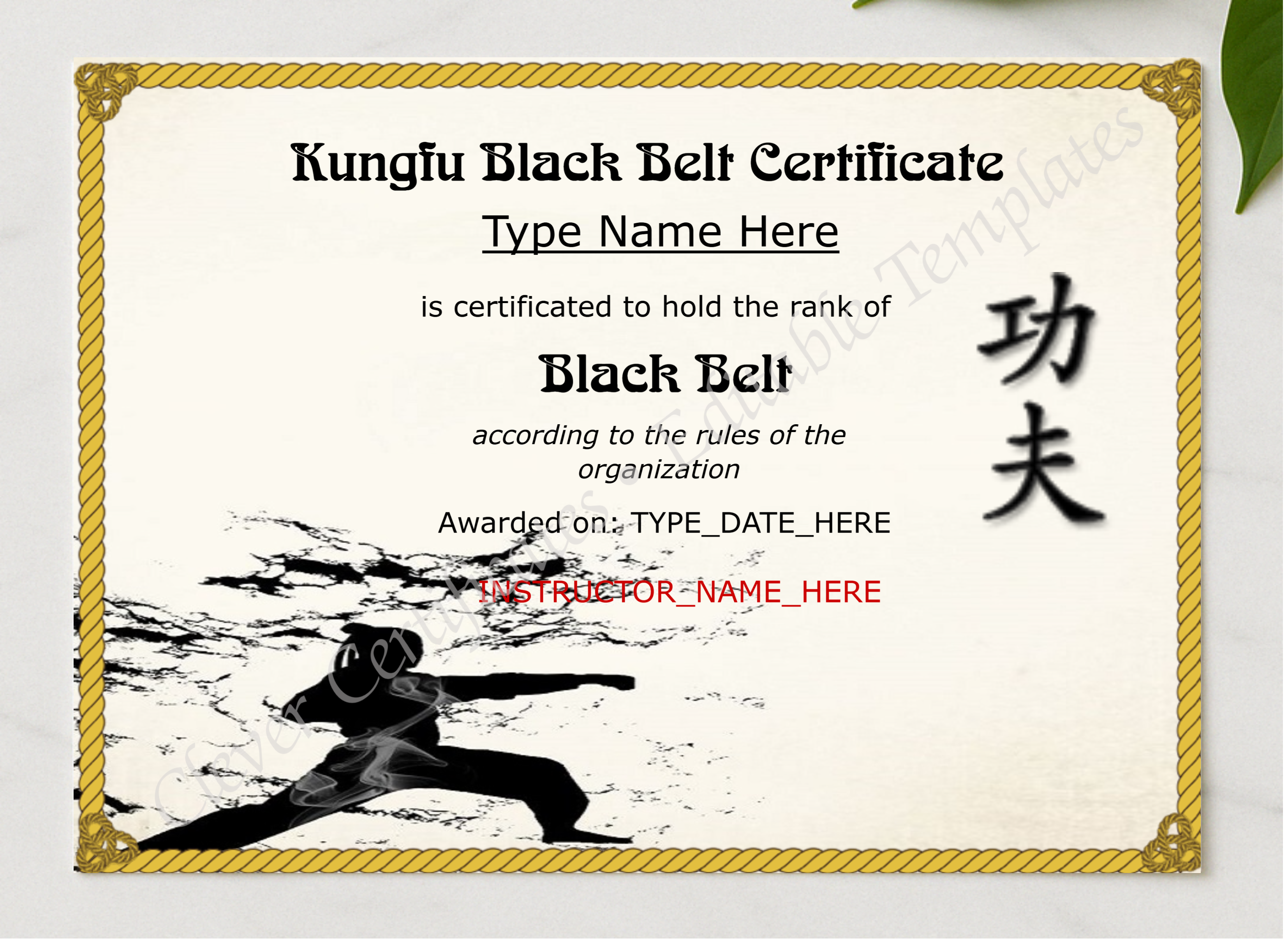Professional Kungfu Black Belt Certificate presented in a sleek wooden frame, elegantly arranged on a stylish table.