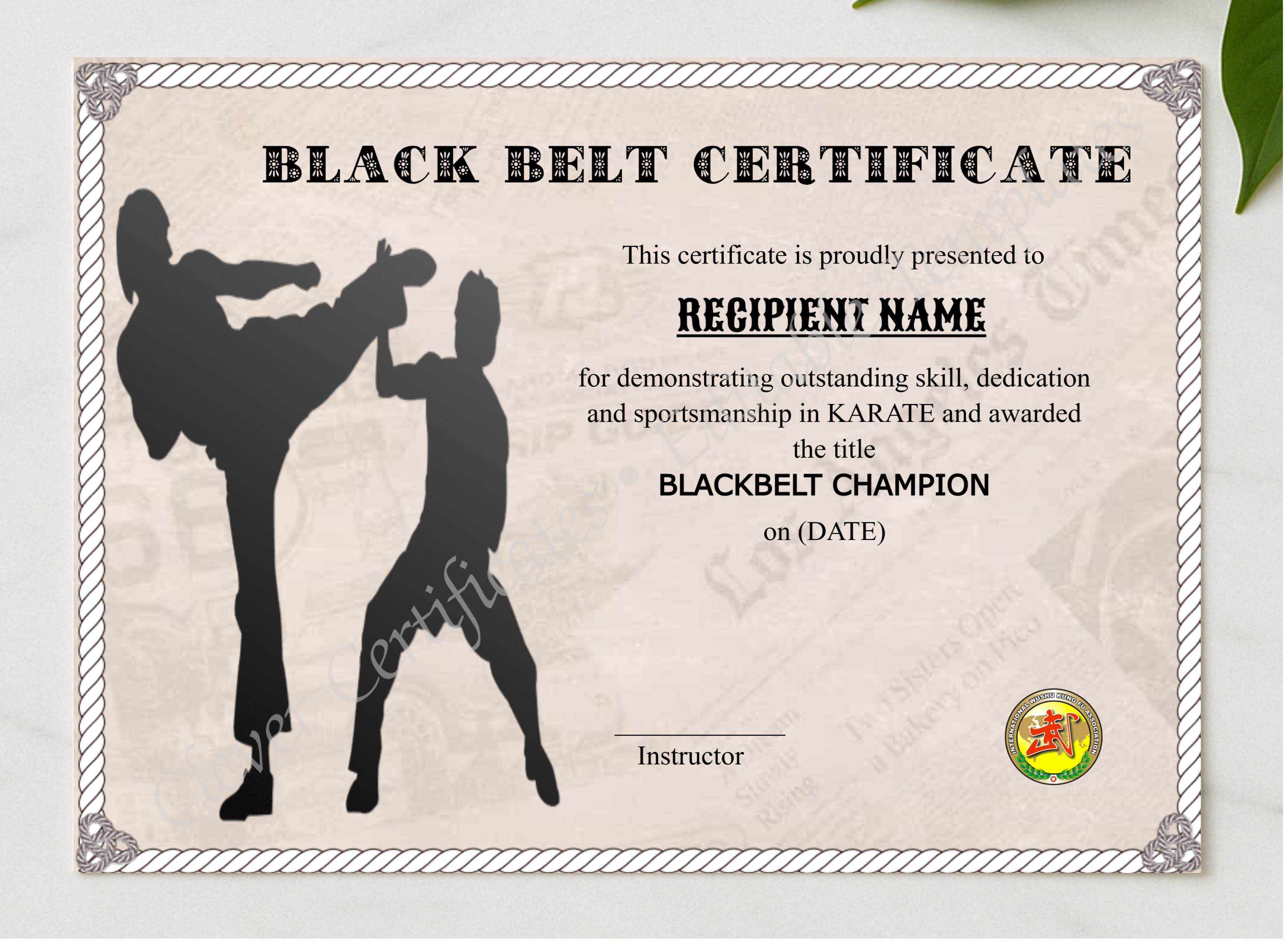Customizable Blackbelt Award presented in a sleek wooden frame, elegantly arranged on a stylish table.