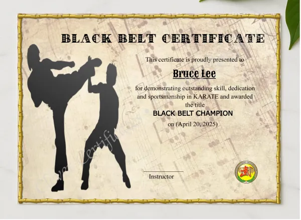 Professional Blackbelt Award presented in a sleek wooden frame, elegantly arranged on a stylish table.