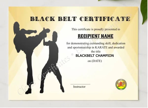 Elegant Blackbelt Award presented in a sleek wooden frame, elegantly arranged on a stylish table.
