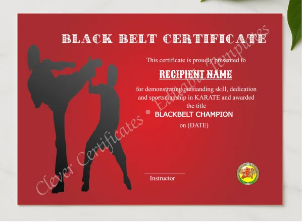Modern Blackbelt Award presented in a sleek wooden frame, elegantly arranged on a stylish table.