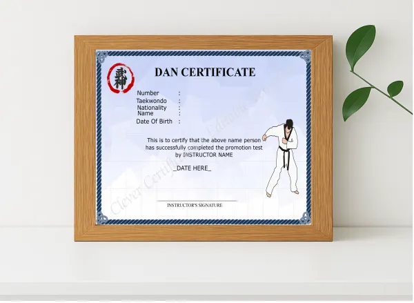 Realistic mockup featuring Printable Dan Certificate displayed within a modern frame, set against a minimalistic background.