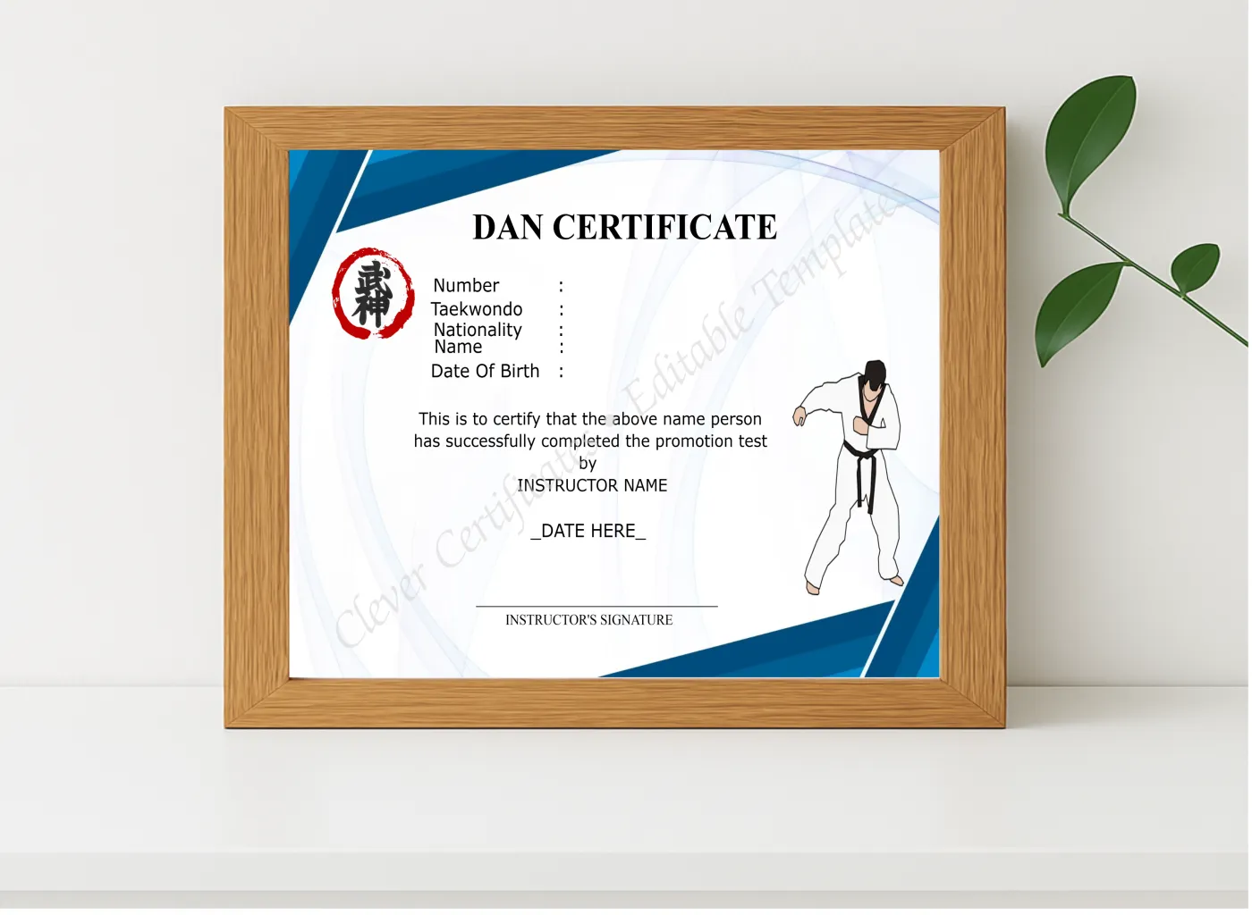 Realistic mockup featuring Professional Dan Certificate displayed within a modern frame, set against a minimalistic background.