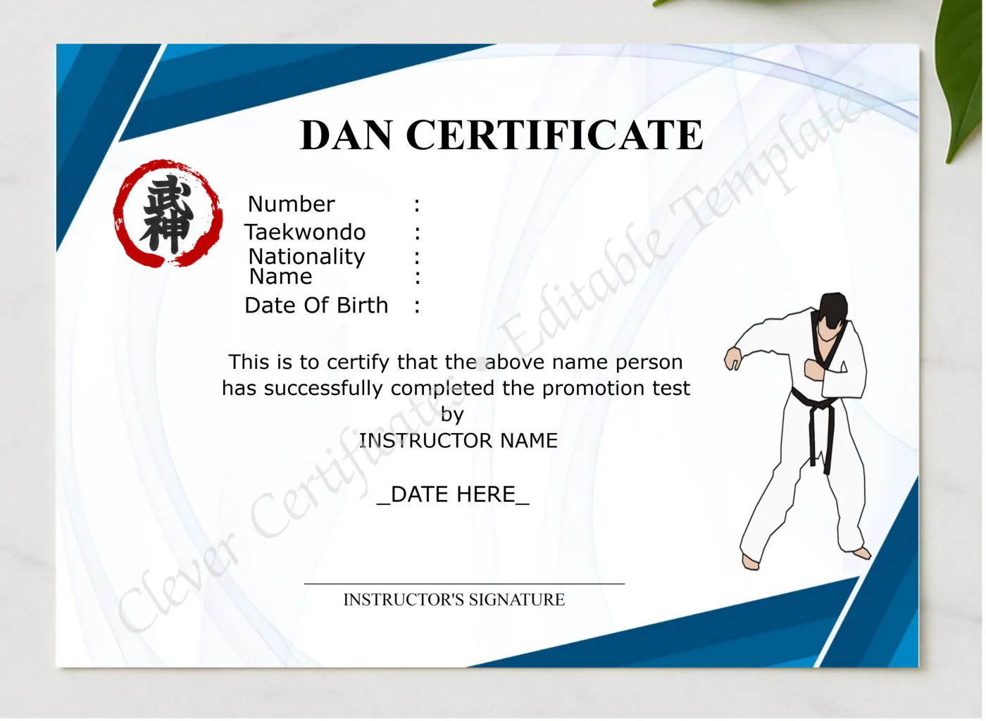 Professional Dan Certificate presented in a sleek wooden frame, elegantly arranged on a stylish table.