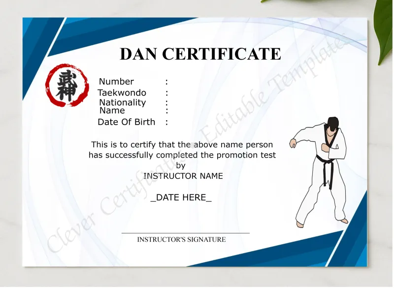 Professional Dan Certificate presented in a sleek wooden frame, elegantly arranged on a stylish table.