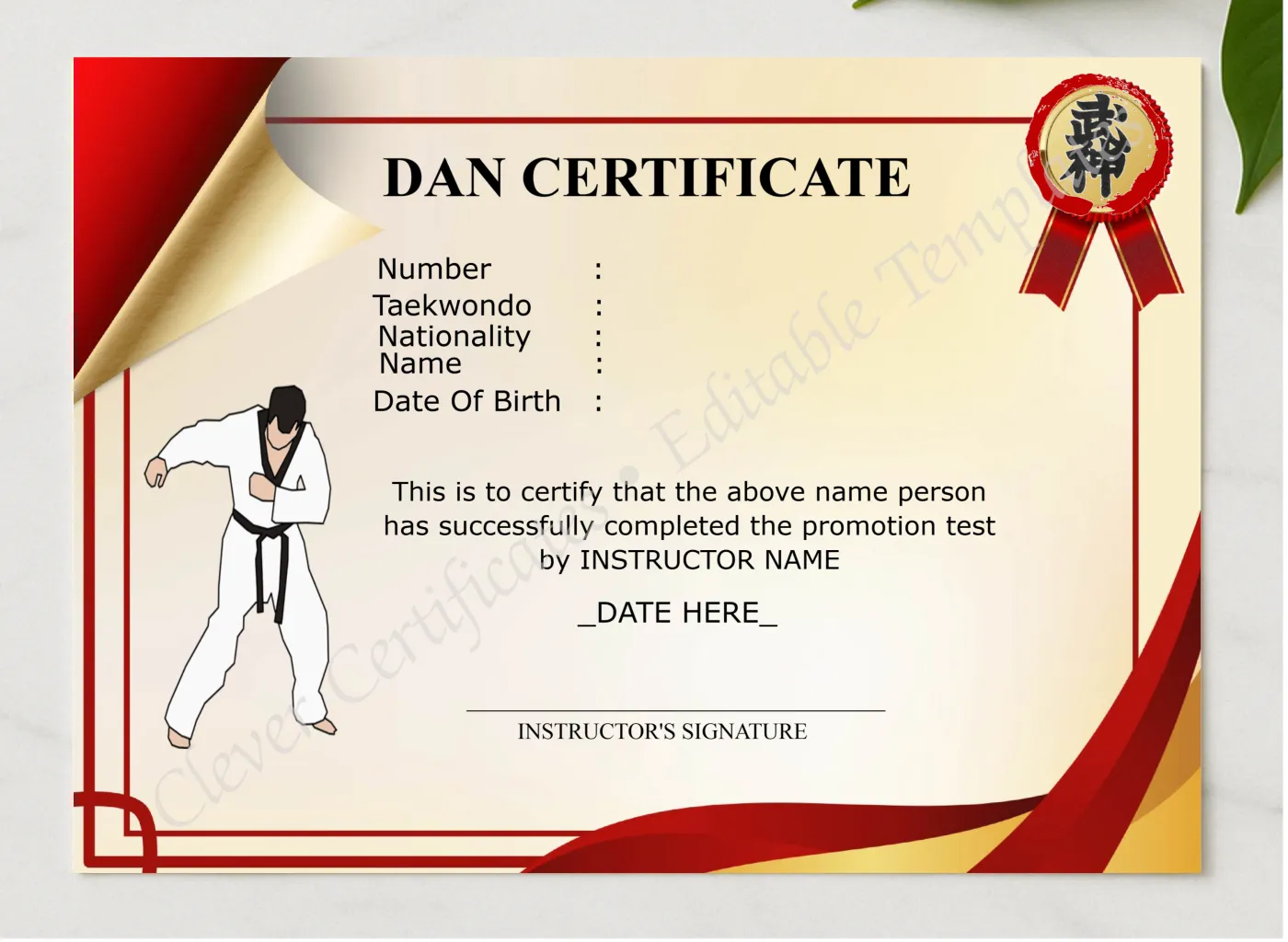 Elegant Dan Certificate presented in a sleek wooden frame, elegantly arranged on a stylish table.