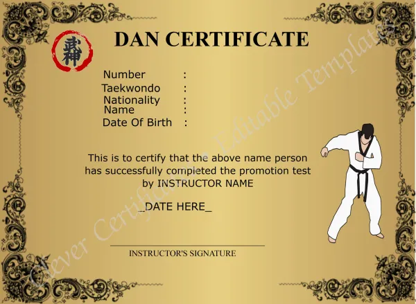 Modern Dan Certificate