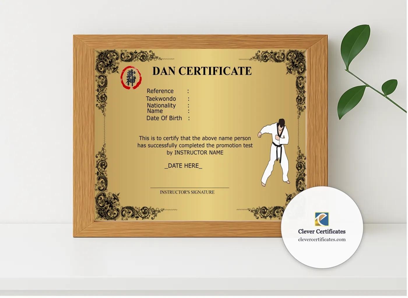 Realistic mockup featuring Modern Dan Certificate displayed within a modern frame, set against a minimalistic background.