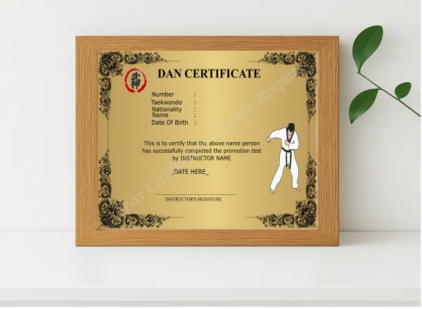 Realistic mockup featuring Modern Dan Certificate displayed within a modern frame, set against a minimalistic background.