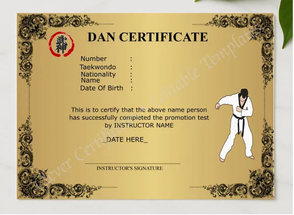 Modern Dan Certificate presented in a sleek wooden frame, elegantly arranged on a stylish table.