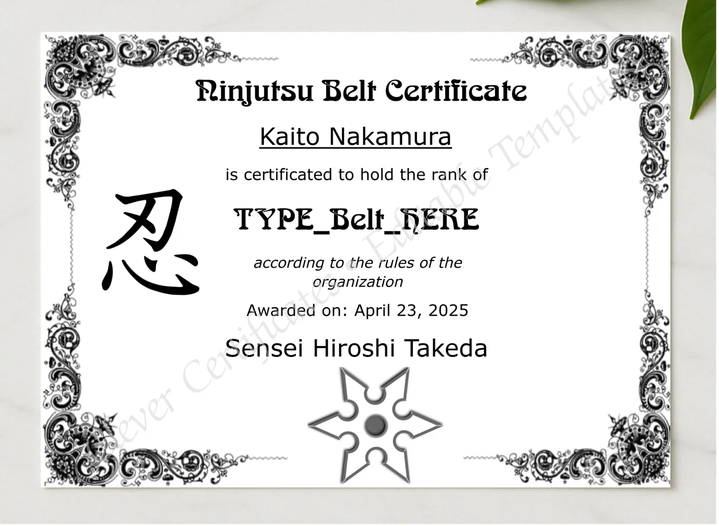 Ninjutsu Belt Certificate presented in a sleek wooden frame, elegantly arranged on a stylish table.