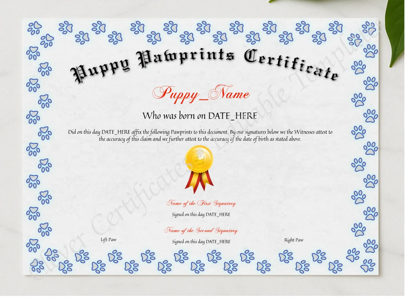 Puppy Pawprints Certificate presented in a sleek wooden frame, elegantly arranged on a stylish table.