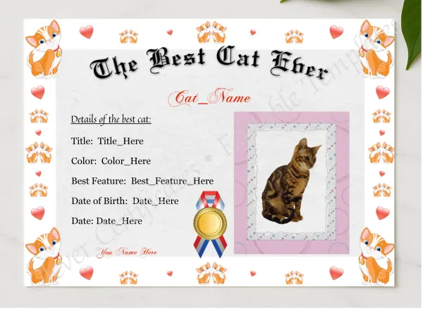 The Best Cat Ever Award presented in a sleek wooden frame, elegantly arranged on a stylish table.