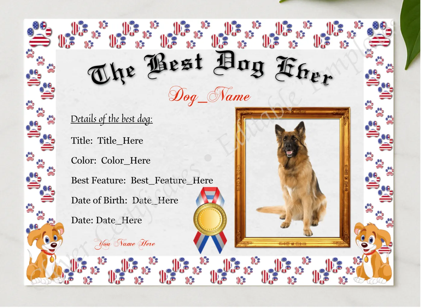 The Best Dog Ever Award presented in a sleek wooden frame, elegantly arranged on a stylish table.