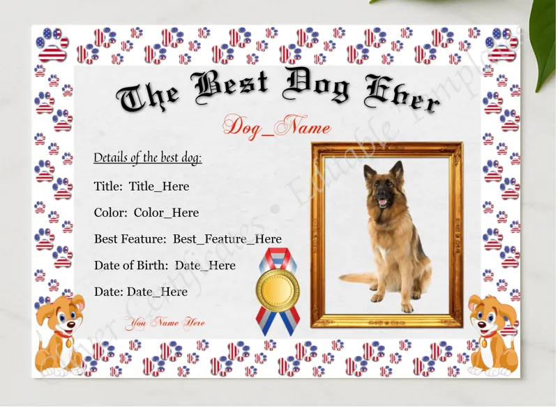 The Best Dog Ever Award presented in a sleek wooden frame, elegantly arranged on a stylish table.