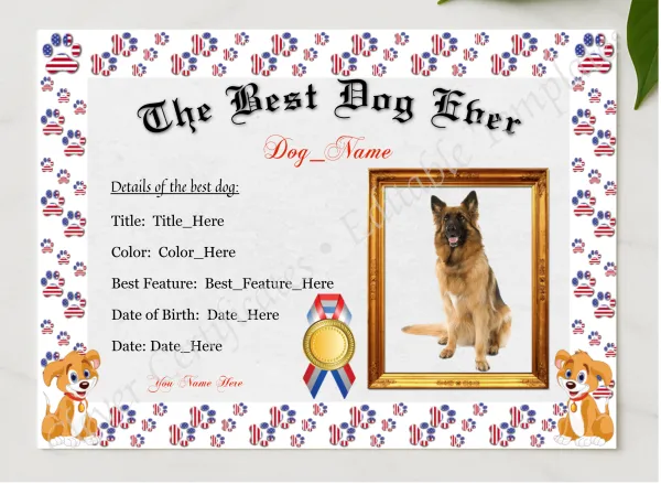The Best Dog Ever Award presented in a sleek wooden frame, elegantly arranged on a stylish table.