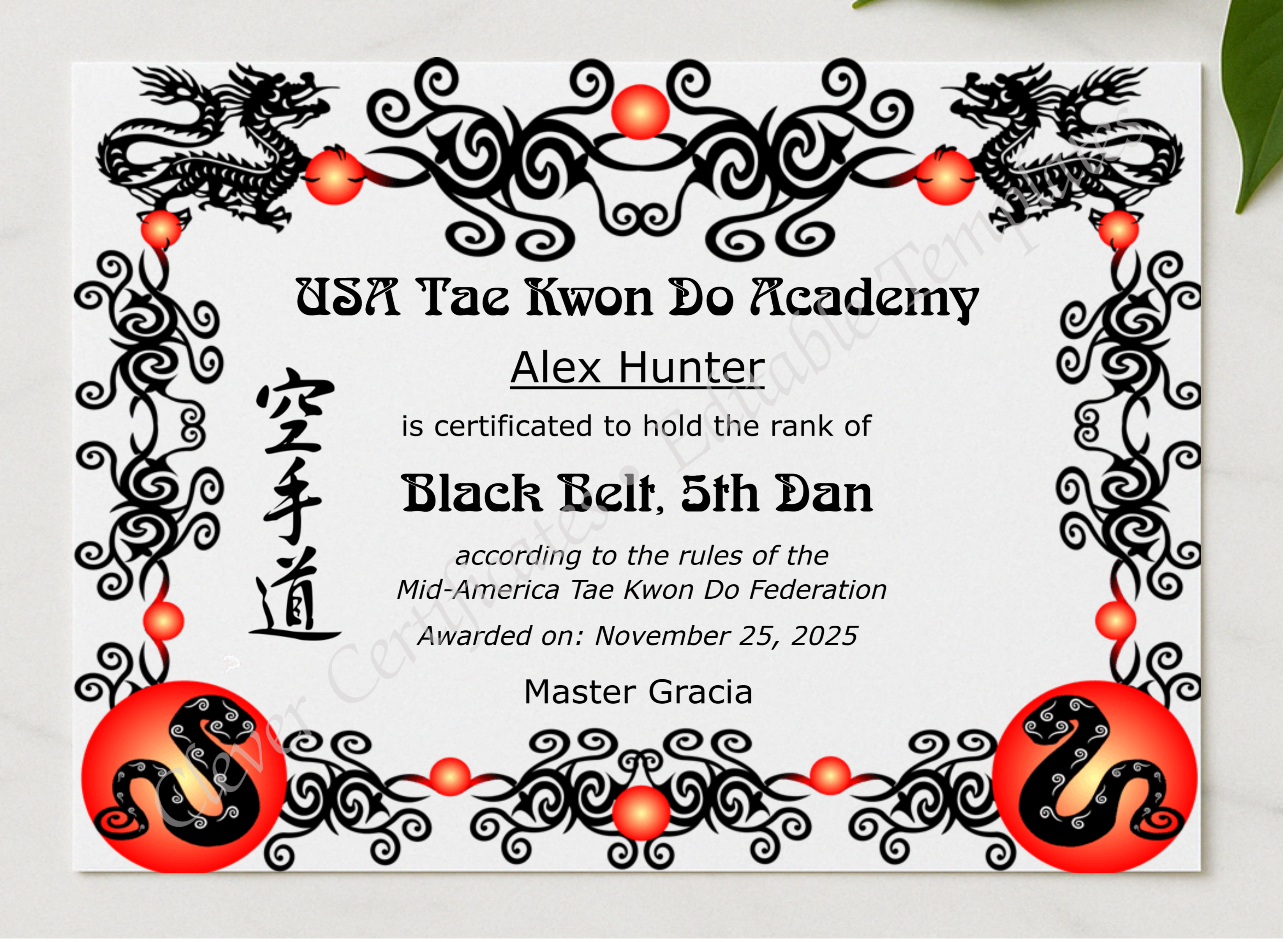Tae Kwon Do Black Belt Certificate presented in a sleek wooden frame, elegantly arranged on a stylish table.