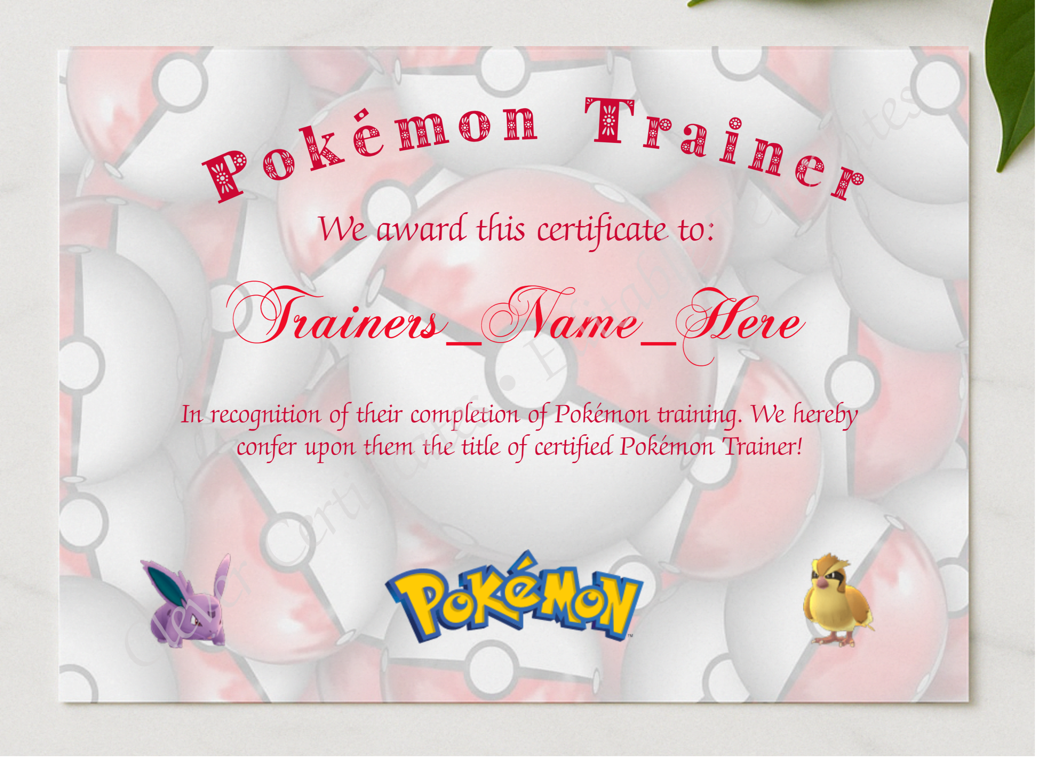 Pokemon Trainer Certificate 2 presented in a sleek wooden frame, elegantly arranged on a stylish table.