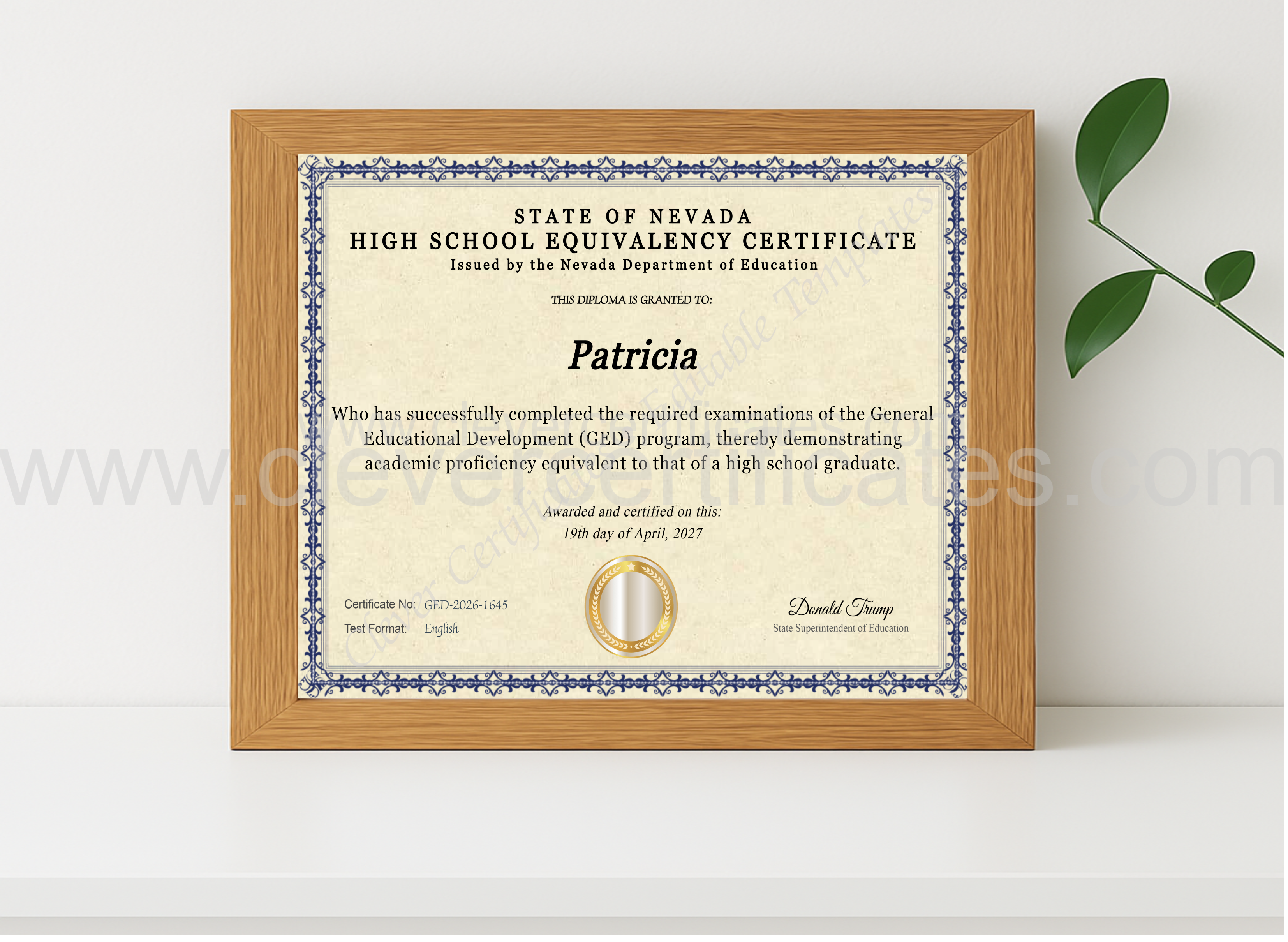 Realistic mockup featuring Nevada Ged displayed within a modern frame, set against a minimalistic background.
