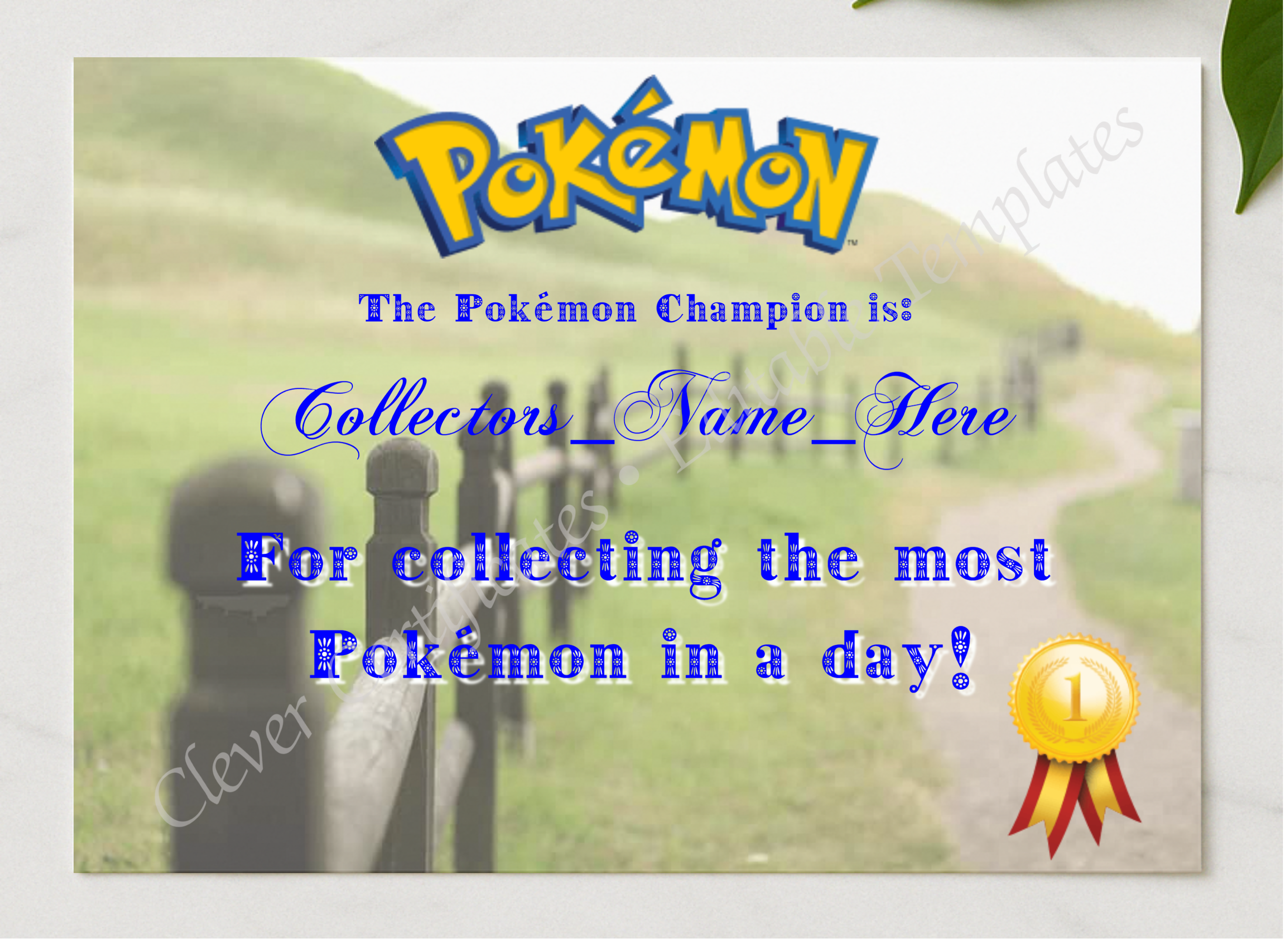 Pokemon Go Champion Award presented in a sleek wooden frame, elegantly arranged on a stylish table.
