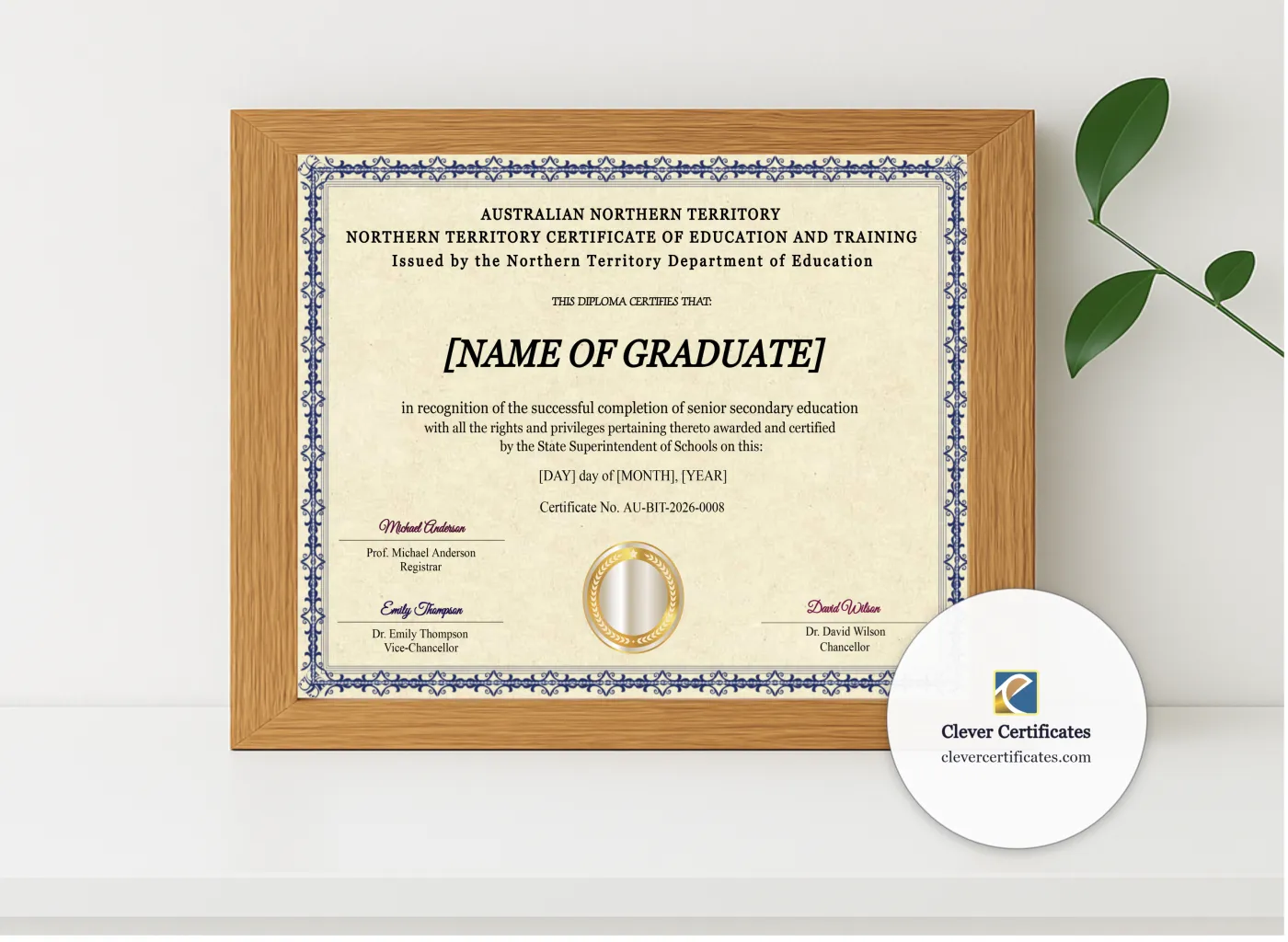 Realistic mockup featuring Northern Territory Certificate Of Education And Training displayed within a modern frame, set against a minimalistic background.