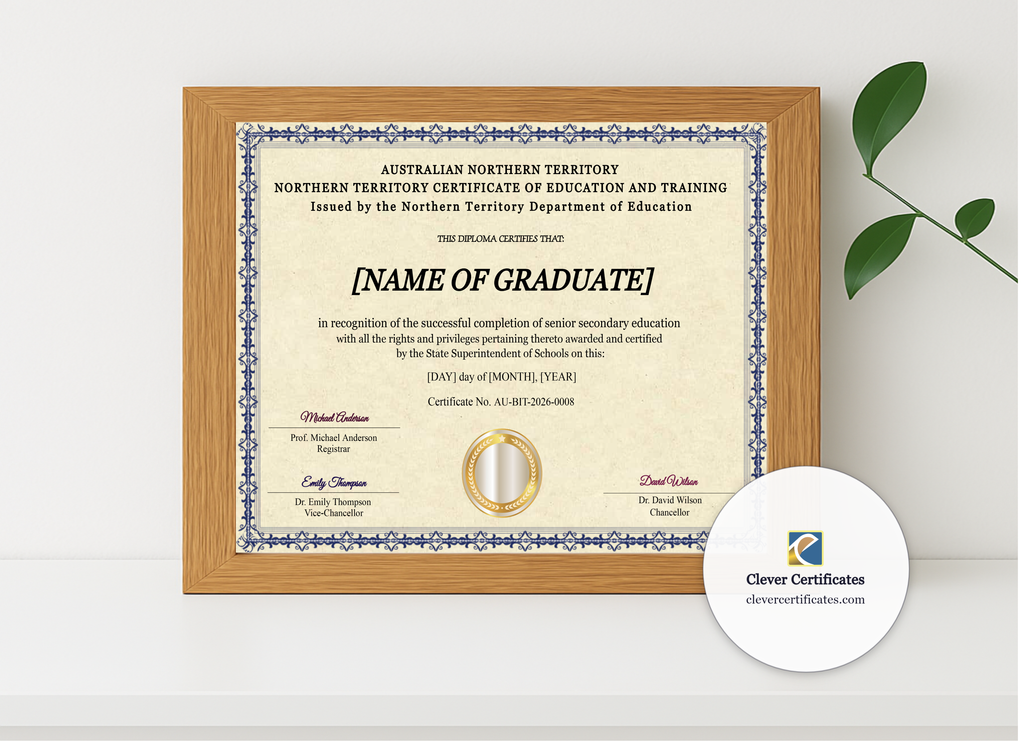 Realistic mockup featuring Northern Territory Certificate Of Education And Training displayed within a modern frame, set against a minimalistic background.