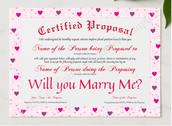 Certified Proposal presented in a sleek wooden frame, elegantly arranged on a stylish table.