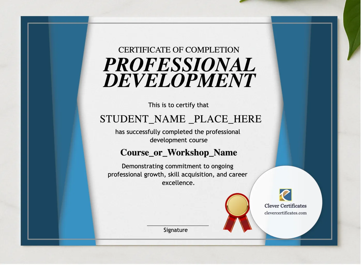 Professional Development Certificate presented in a sleek wooden frame, elegantly arranged on a stylish table.