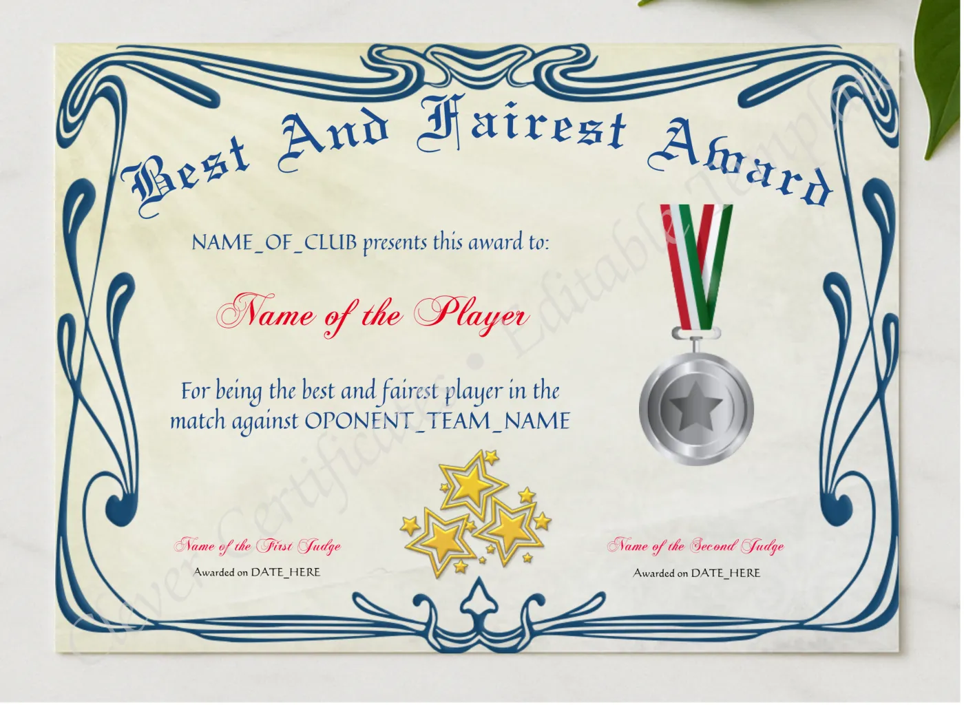 Best And Fairest Award presented in a sleek wooden frame, elegantly arranged on a stylish table.