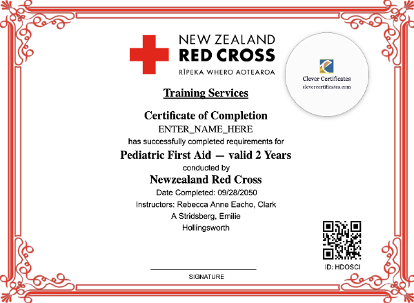 Pediatric First Aid Certificate Landscape