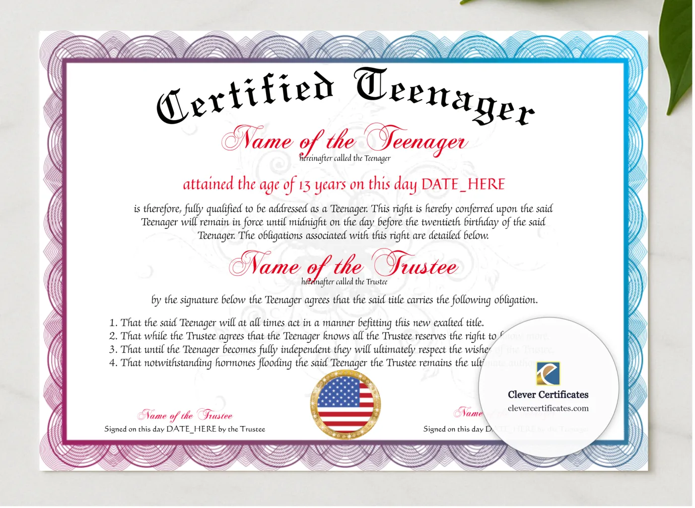 Certified Teenager Award presented in a sleek wooden frame, elegantly arranged on a stylish table.