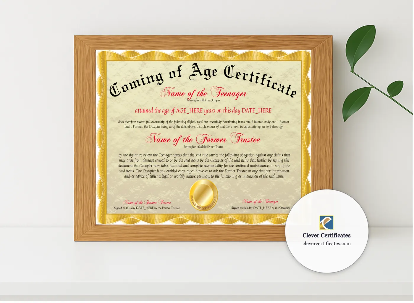 Realistic mockup featuring Coming Of Age Certificate displayed within a modern frame, set against a minimalistic background.