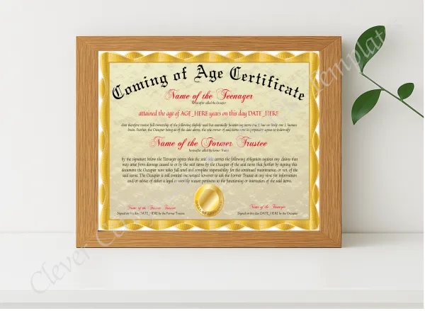 Realistic mockup featuring Coming Of Age Certificate displayed within a modern frame, set against a minimalistic background.