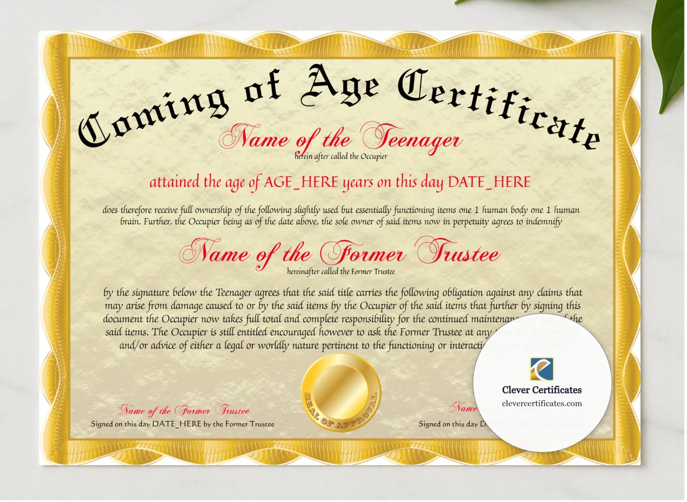Coming Of Age Certificate presented in a sleek wooden frame, elegantly arranged on a stylish table.